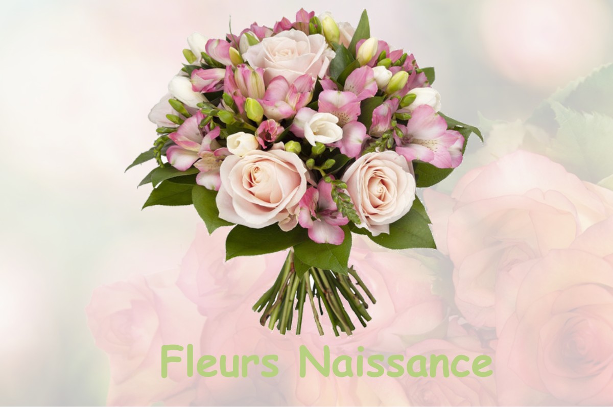 fleurs naissance BRAGAYRAC