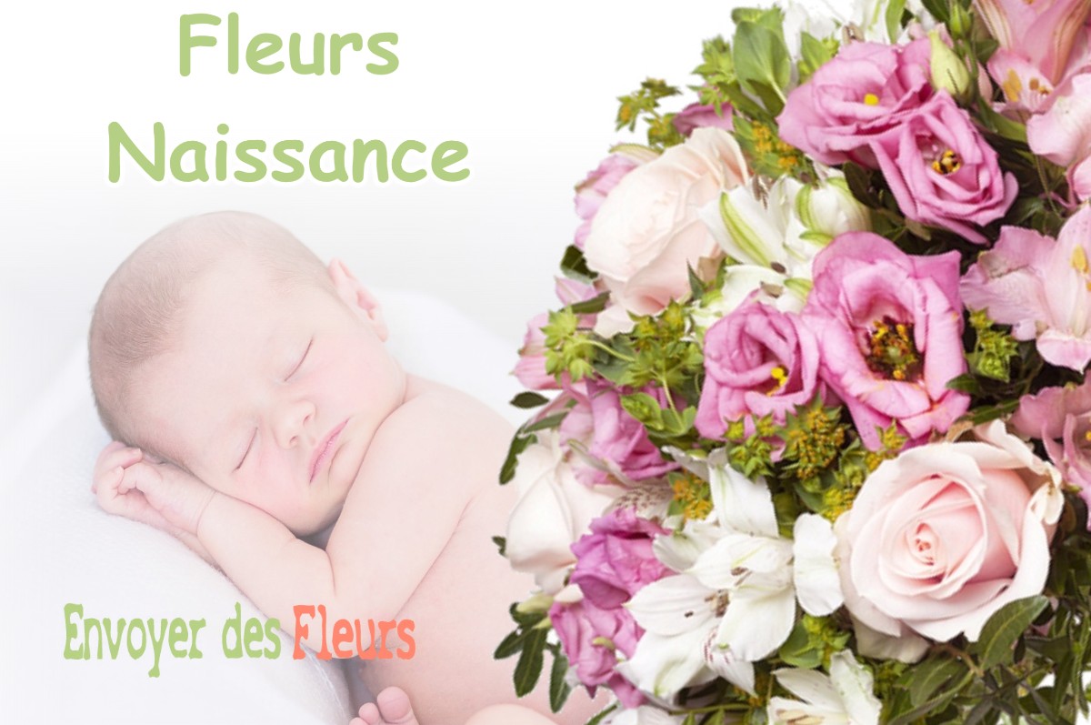 lIVRAISON FLEURS NAISSANCE à BRAGAYRAC